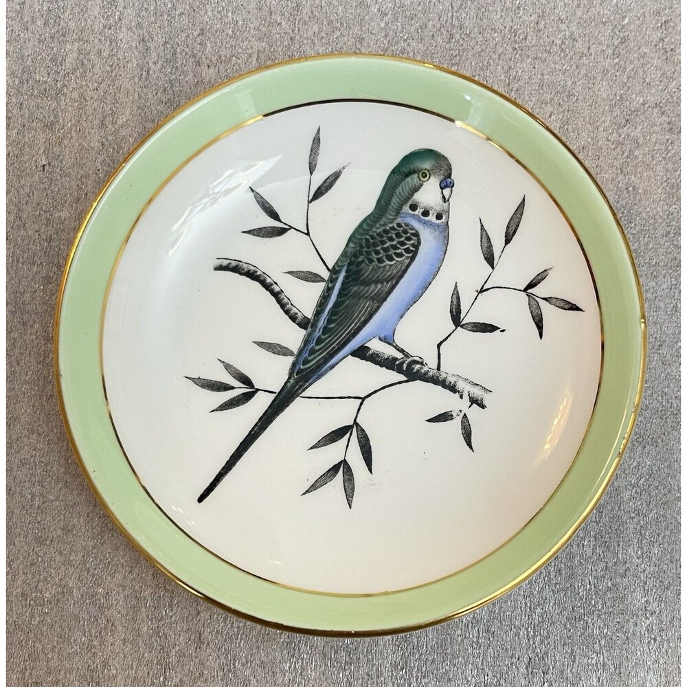 Queen Anne Fine Bone China England Trinket Dish Parakeet Bird 4” Vintage